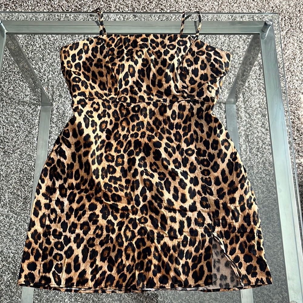 Zara Leopard Dress